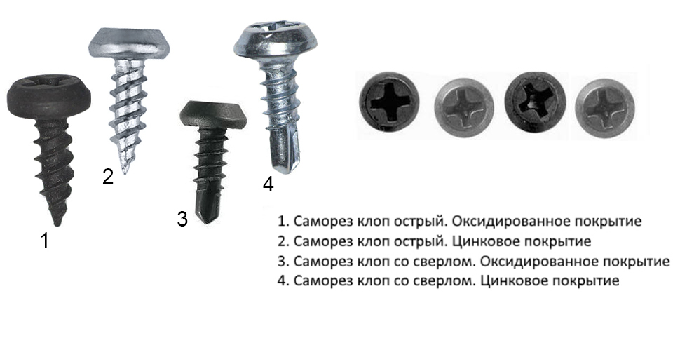 _ (1).jpg _ (1).jpg